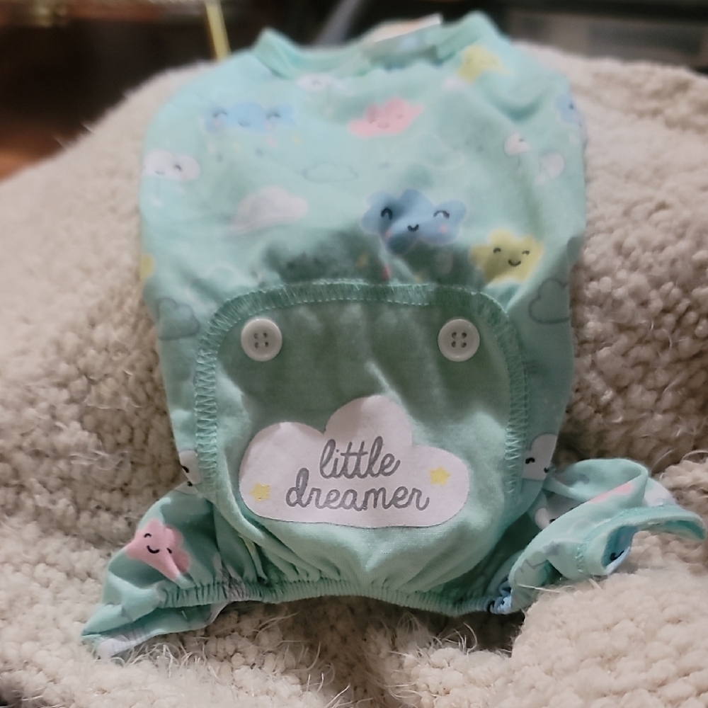 Mint Green Dog Outfit with Plush Texture and Cartoon Eyes
